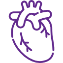 Cardiology